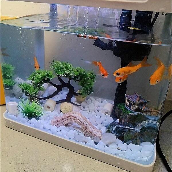 5pcs Mini Aquarium Decor Set, Resin Ornaments Including Pagoda, Bridge, Plants, Suitable For Fish Tank Landscape