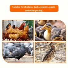 8pcs Automatic Chicken Drinker - Premium PP Self-Stopping Poultry Farm Dispenser - Durable, Easy To Install, Suitable For Poultry, Ducks And Birds (Includes Drill Bit And Brush) - A - View 8