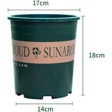 1pc Flower Pot, Home Flower Pot, Desktop & Balcony Pothos Planter, PP Resin Flower Pot, Tall New Root Control Gallon Planter - A - View 12