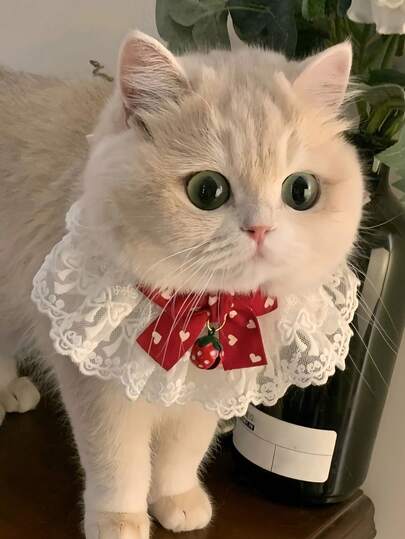 Elegant Cat Collar To Enhance Pet Beauty Comfortable Cute Bow For Sweet Princess Cats Polished Strawberry Bells To Hold Outdoor Travel Visibility Lace Collar With Bells Pet Accessories