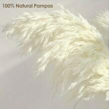 10/20/30 件装人造蒲苇草装饰，17.3/21.6 英寸小型仿藤羽毛花束，棕白相间蒲苇草装饰，波西米亚风格，室内花卉装饰，婚礼花瓶，花环装饰，卧室装饰 - 白色 - 查看 5