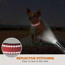 1pc Adjustable Soft Padded Breathable Nylon Reflective Dog Collar, Suitable For Dogs - Multicolor - View 3