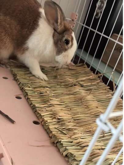 Pet Warm Bed Pads, Hand-Woven Grass Pads For Rabbits, Natural Grass, Soft And Comfortable, Suitable For All Seasons, Guinea Pig, Hamster, Dutch Pig's Foot Pads, Rabbit Grass Bed Pet Supplies