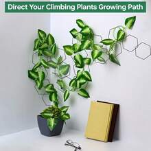 Metal Plant Trellis Set For Climbing Plants, 18 Geometric Plant Stands & 8 Hooks, Indoor Outdoor Vine Support For Monstera Pothos Ivy, Garden Wall Grid Plant Decor Accessories - B-黑色 - 查看 9