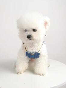 1pc Pet Clothes, Dog/Cat Apparel, Small Dog Harness Pants, Letter Bear Harness Pants - Blue - View 4