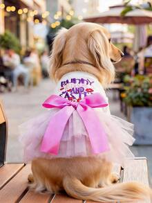 1件宠物服装，猫狗服装，快乐小狗小型犬套装，休闲时尚可爱舒适红唇丝带紫色兔子复活节薄纱连衣裙 - 彩色 - 查看 1