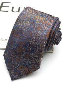 一条手工佩斯利花纹条纹领带，男女通用，适合休闲、街头、学校、日常、派对等场合。 - 彩色 - 查看 9