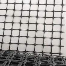 10M Black Plastic Garden Fence Netting Mesh Barrier Net Roll UK - Black - View 9