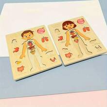 1 pieza Rompecabezas de aprendizaje y cognición de la estructura corporal para niños, juguete interactivo madre-hijo de madera - Multicolor - Ver 8