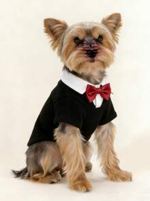 一套领结绅士西装领连衣裙，秋冬宠物裙，蕾丝领加厚羊毛宠物裙，保暖珍珠领狗/猫公主裙 - 彩色 - 查看 3