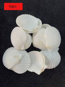 20 piezas de conchas de vieira naturales, conchas de mar blancas, adecuadas para manualidades DIY y decoración del hogar - Blanco - Ver 16