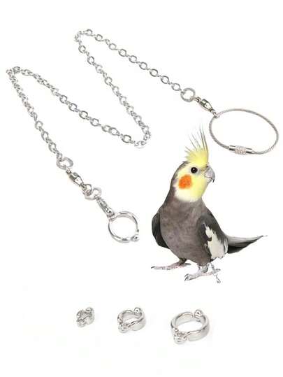 Multi-Specification Stainless Bird Foot Chain,Pet Parrot Leg Ring Ankle Foot Chain Bird Ring,Flying Training Rope,Indoor Bird Anti-Off Anklet,Sparrow Traction Harness,For Outdoor Flying Training Activity Opening Stand Accessories,Bird Supplies