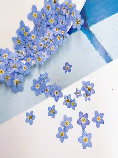 20/30/50/80pcs Blue Forget-Me-Not Dried Pressed Flowers, Suitable For DIY Crafts, Stickers, Photo Frames, Epoxy Resin, Phone Cases, Floral Materials, Christmas, Valentine's Day, Weddings, Home Decor, Gifts