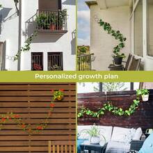 Metal Plant Trellis Set For Climbing Plants, 18 Geometric Plant Stands & 8 Hooks, Indoor Outdoor Vine Support For Monstera Pothos Ivy, Garden Wall Grid Plant Decor Accessories - B-黑色 - 查看 5