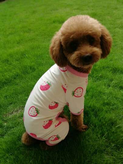 春夏印花四脚宠物保暖服，犬猫保暖宠物服装