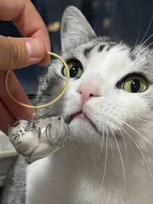 1 件猫毛收纳挂饰，创意透明猫毛收纳包饰，小猫咪纪念扭蛋，宠物毛发收集器胶囊钥匙扣万圣节配饰教师节包饰挂绳带身份证夹汽车配饰包饰 - 彩色 - 查看 5