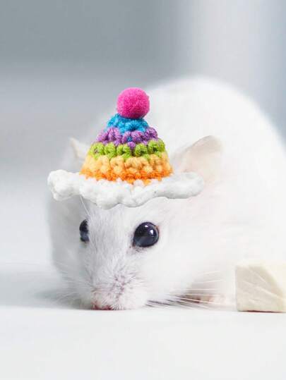 1pc Handmade Knitted Miniature Rainbow Party Hat, Soft Plush Pom Pom Headwear, Cute Pet Costume Accessory, Fun Pet Photography Prop