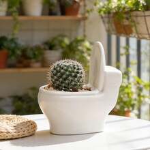 1pc Ceramic Toilet Shaped Succulent Planter, Desktop Small Flower Pot, Cute Toilet Bowl Succulent Planter Pot With Drainage Tray (Large) - A - View 8
