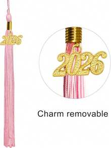 2026 Shiny Kindergarten & Preschool Graduation Cap With Tassel - Multicolor - View 4