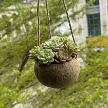 Coconut Shell Flower Pot Hanging Basket, Natural Coconut Shell, Hand Polished, Strong And Wear-Resistant, With Hanging Rope, Plant Potted Container, Retro Pastoral Restaurant Decoration, Flower Stand, Flowerpot, Flower Basket - Hanging Basket - View 4