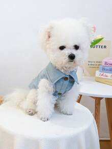 1pc Pet Clothes, Dog/Cat Jacket Coat, Durable & Wear-Resistant Outfit For Small Dogs - Sweetheart Jacket - Blue - View 4