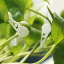 20个360°可调节植物照明弯管，加厚塑料园艺配件农具 - 多色 - 查看 6