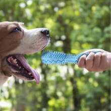 Que gặm chống cắn và nhai cho thú cưng, đa năng vừa làm sạch bàn chải đánh răng vừa làm mát răng, đồ chơi mềm mại cho thú cưng. - Nhiều màu - Xem 3