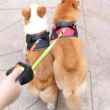 360° Tangle-Free Retractable Dual Dog Leash 3M Double Lead For Training Walking Two Dogs - Blue - View 8