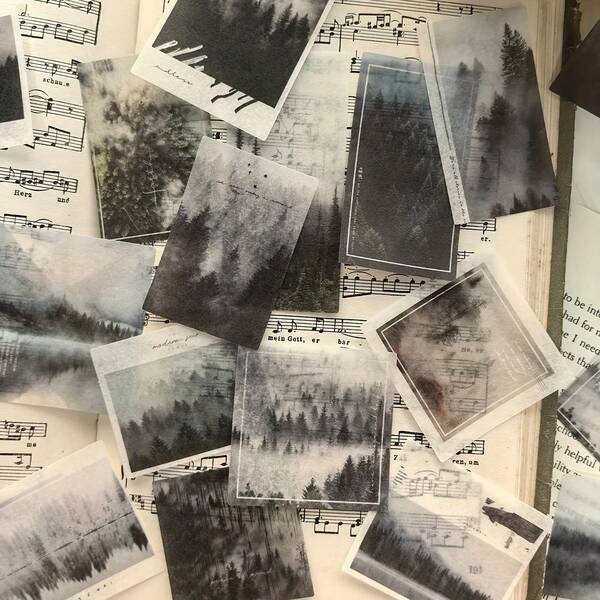 50 Stück/Packung Neblige Wald Kreative Washi Aufkleber, Aquarell Landschaft Ästhetische Aufkleber geeignet für Tagebücher, Scrapbooking und DIY Basteleien