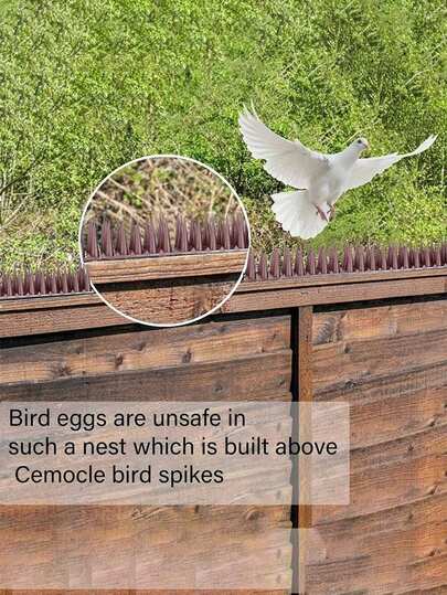 1/5 chiếc gai nhựa chống chim - Gai chống chim - Thiết bị diệt trừ côn trùng - Bẫy côn trùng trong nhà và ngoài trời - Thích hợp cho nhà ở, nhà bếp, vườn, cây cối và diệt trừ côn trùng bay trong nhà và ngoài trời