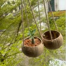 Coconut Shell Flower Pot Hanging Basket, Natural Coconut Shell, Hand Polished, Strong And Wear-Resistant, With Hanging Rope, Plant Potted Container, Retro Pastoral Restaurant Decoration, Flower Stand, Flowerpot, Flower Basket - Hanging Basket - View 11