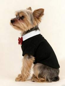 一套领结绅士西装领连衣裙，秋冬宠物裙，蕾丝领加厚羊毛宠物裙，保暖珍珠领狗/猫公主裙 - 彩色 - 查看 6