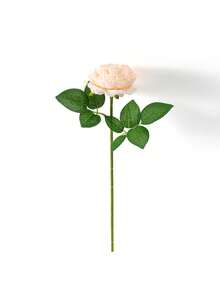 MEHELANY 15/5/1 Stück künstliche Pfingstrosenblumen, Fake Pfingstrosenstängel realistische Pfingstrosenblumen für Hochzeitsdekoration, Party, Tischmitte Zuhause - Champagnerfarben - Übersicht 8