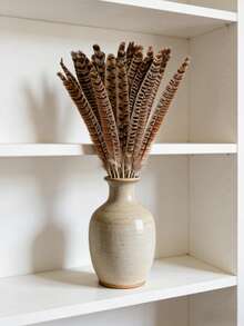 10 件天然野鸡尾羽，8-10 英寸/20-25 厘米，适用于工艺品、家居、婚礼、派对、表演、DIY 装饰、女士 - 彩色 - 查看 9