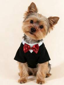 一套领结绅士西装领连衣裙，秋冬宠物裙，蕾丝领加厚羊毛宠物裙，保暖珍珠领狗/猫公主裙 - 彩色 - 查看 1