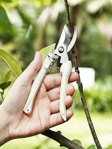 1/2件套不锈钢重型修枝剪，带软垫手柄，适用于修剪花卉、灌木、树篱、树枝等，是家庭庭院草坪园艺的理想工具。 - 多色 - 查看 3