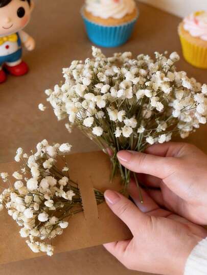 50/100pcs Short Stem Baby's Breath - Real Natural Dried Pressed Baby's Breath Suitable For Resin Art Craft DIY Making Wedding Cards Home Party Decor, Wedding, Home And Office Decor, Party And Garden, Wreath Style, No Electricity Required, Suitable For Various Occasions