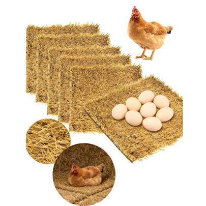 1/2 tấm lót ổ trứng gà có thể giặt được, thảm lót ổ trứng bằng nhựa PE mềm mại cho gia cầm, thích hợp cho gà mái đẻ trứng, vật liệu lót ổ trứng lý tưởng cho gia cầm.