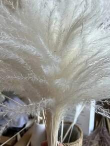 50pcs Simulation Reed Rabbit Tail Flower Cattail Dried Artificial Flower Plant Decoration Garden Living Room,Home Decoration, Room Decoration, Bedroom Decoration, Party Decoration, Wedding Deco - Multicolor - View 7