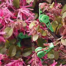 20个360°可调节植物照明弯管，加厚塑料园艺配件农具 - 多色 - 查看 4