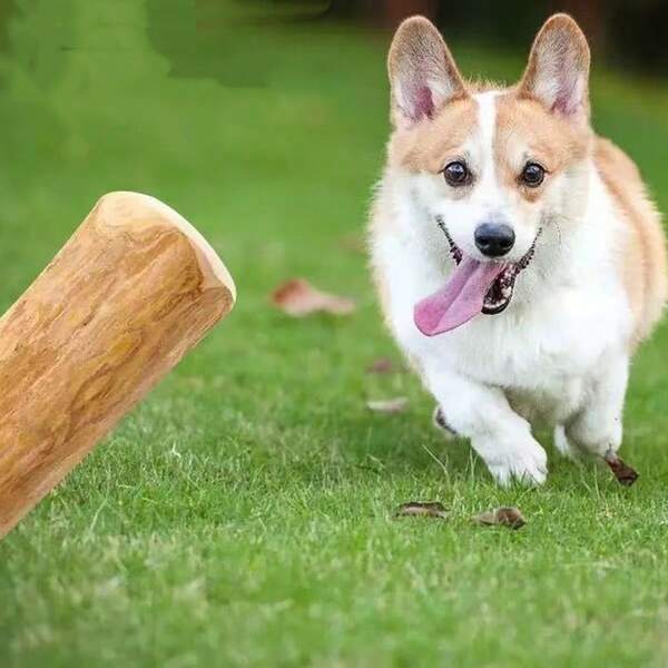 1pc Cat Catnip Toy, Indoor Cat Catnip Stick Toy, Cat Chewing Toy For Cleaning Teeth, Dental Cleaning Sisal Rope Toy, Grinding Teeth, Cleaning, Durable, Teasing, Self-Entertainment, Boredom Relief, Treats For Cats And Kittens, Cat Dental Toy