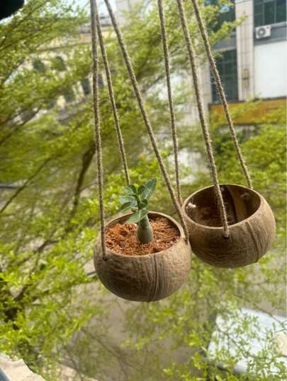 Bloempot/hangmand van kokosnootschaal, natuurlijke kokosnootschaal, handgepolijst, sterk en slijtvast, met ophangtouw, plantenbak, retro landelijke restaurantdecoratie, bloemenstandaard, bloempot, bloemenmand