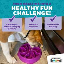 Outward Hound Fun Feeder Slo Bowl U2013 Medium 2u2011Cup Capacity,Slow Feeding,Small To Medium Dogs &Amp; Cats,Non-Slip,Purple,Flower Pattern,(Pack Of 12) - ColorF - 查看 7