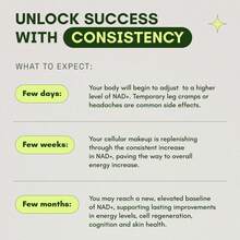Liposomal NAD Supplement With Vitamin B3 | Capsule Dietary Supplement | 500 Mg | 60 Count (3 Bottles) - 500mg*3 - 查看 4