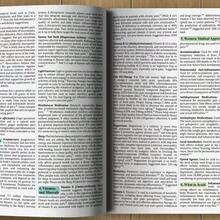 The Holistic Guide To Wellness For Common Ailments Herbal Medicine Book Holistic Herbal Protocol Book - C-Green - View 3