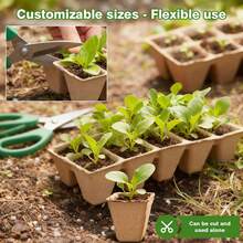 100孔育苗盘，植物育苗盆，12个配套发芽土盆，包含100张标签和2个土壤松土工具，植物幼苗培育套装 - 多款 - 查看 4