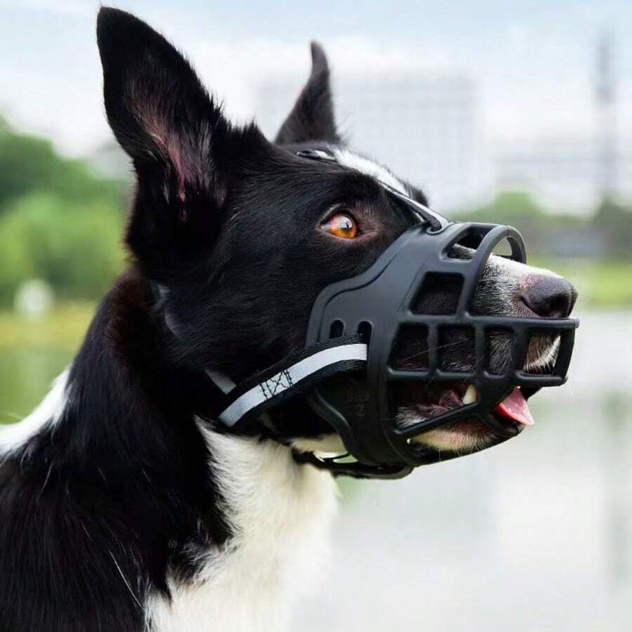 多功能犬用嘴套,有效防止吠叫和乱吃垃圾 - 适用于中大型犬 - 防咬、防骚扰、防打扰 - 价格实惠,材质优良,多种尺寸可选 - 宠物防护嘴套 - 黑色 - 查看 1