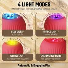 Interactive Cat Toy Ball - Rechargeable Automatic Rolling Ball With 3 Modes & Obstacle Avoidance For Indoor Kittens To Relieve Boredom - màu xanh lá - Xem 4
