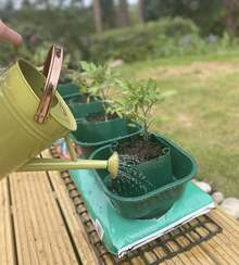 Tomato And Vegetable Growbag Pots For Improved Watering - Pack Of 6 - 1 - View 3