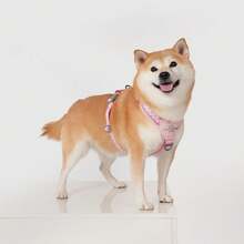 Cute Pink Plaid Pattern Dog Harness - Breathable Reflective Dual-Mode Classic Dog Harness Suitable For Outdoor Use, Fits Small To Medium Dogs, Fashionable New Design - Pink - View 6